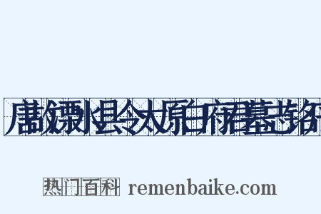 唐故溧水县令太原白府君墓志铭序是什么意思的图片